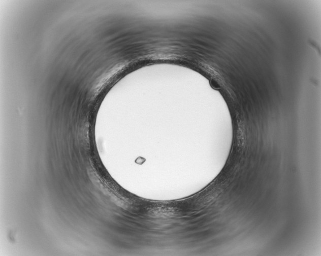 X0000100230535200806271752
