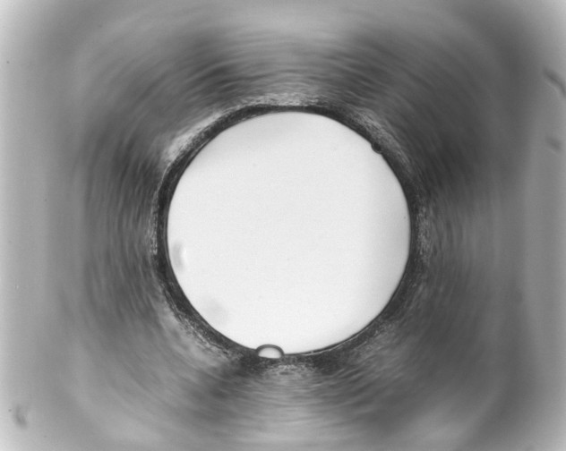 X0000100230536200806271752