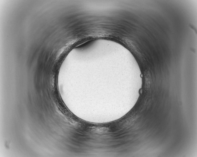 X0000100230539200806271752