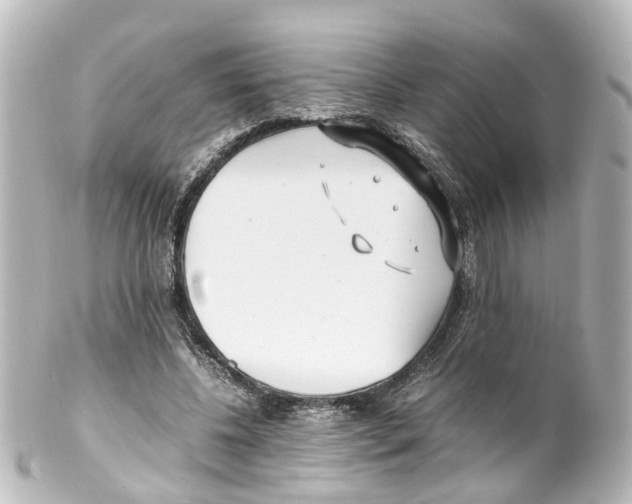 X0000100230540200806271752