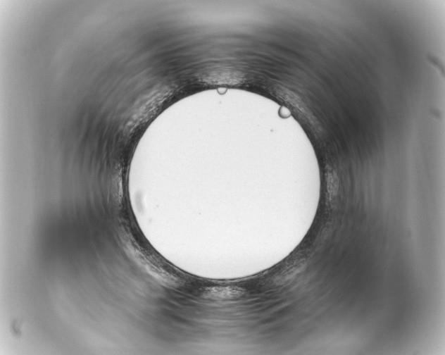 X0000100230541200806271752