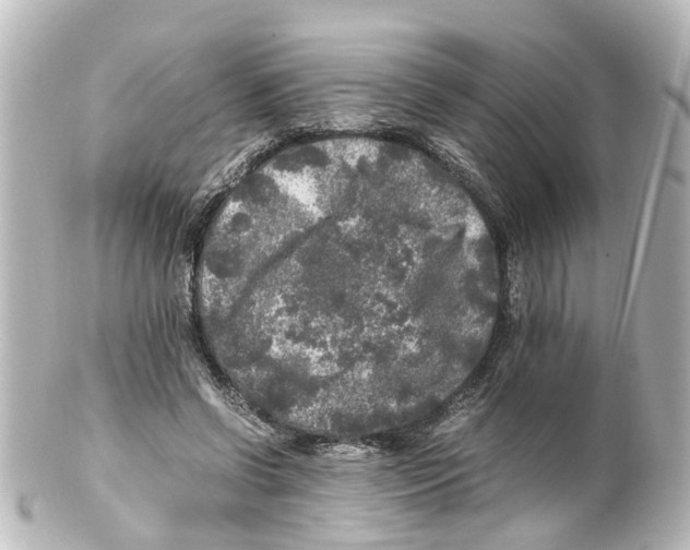 X0000100230542200806271752