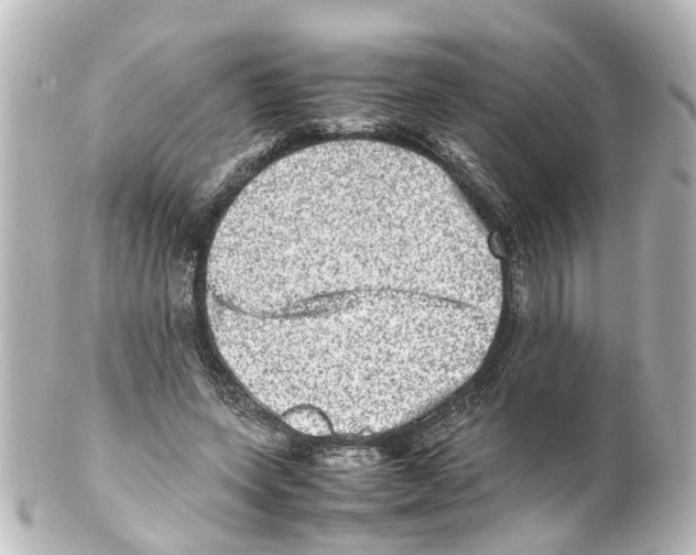 X0000100230543200806271752