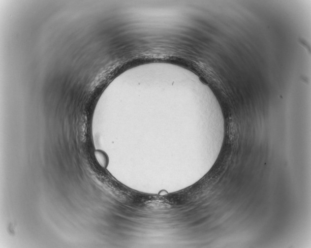 X0000100230544200806271752