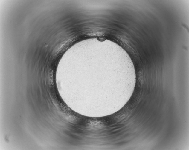 X0000100230547200806271752