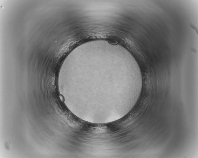 X0000100230548200806271752