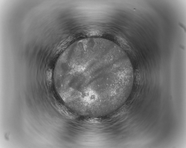 X0000100230550200806271752