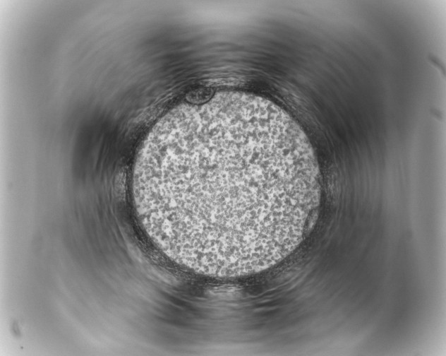 X0000100230551200806271752