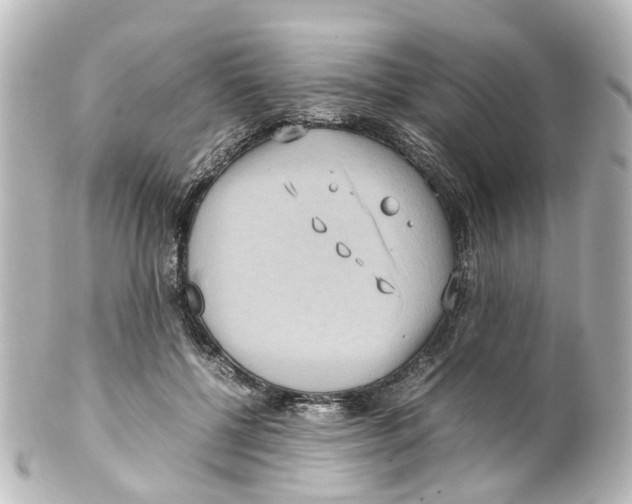 X0000100230552200806271752