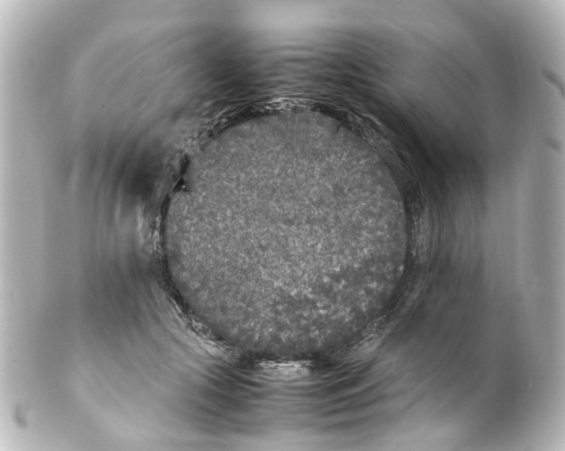 X0000100230553200806271752