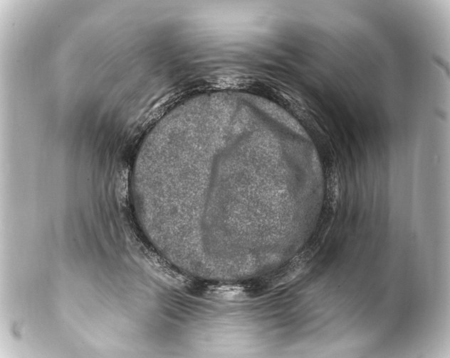 X0000100230554200806271752