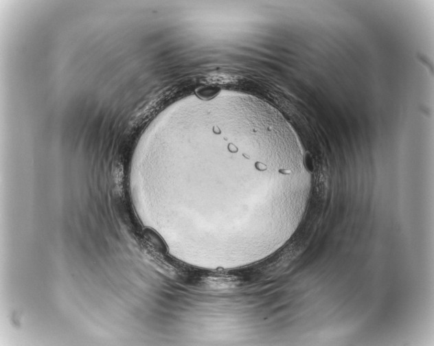 X0000100230556200806271752