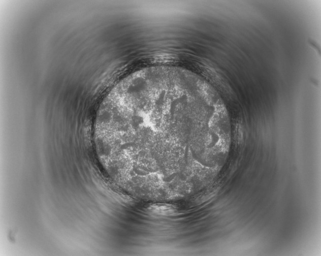 X0000100230557200806271752