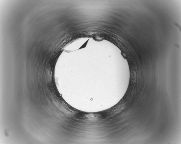 X0000100230558200806271753