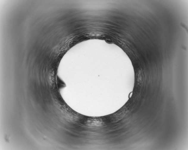 X0000100230559200806271753