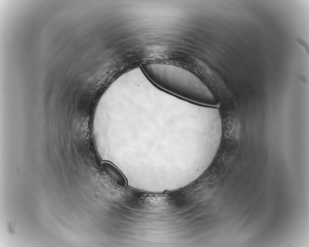 X0000100230560200806271753