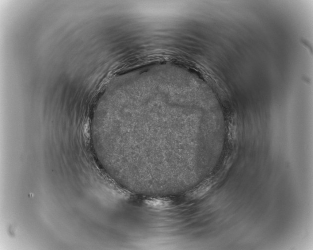 X0000100230561200806271753