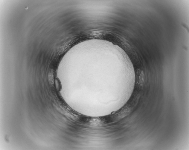 X0000100230562200806271753