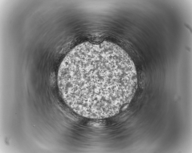 X0000100230563200806271753