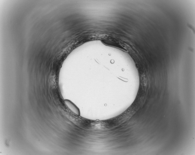 X0000100230564200806271753