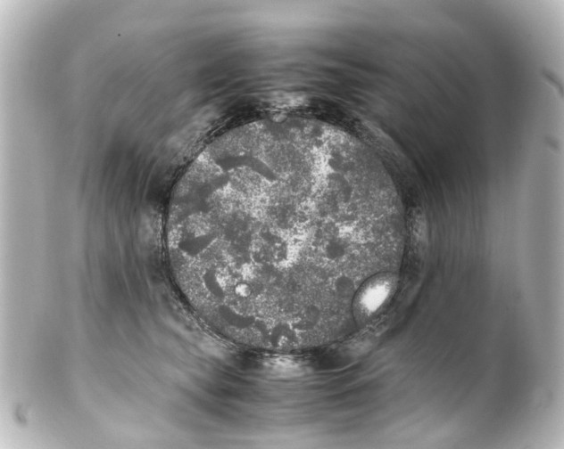 X0000100230565200806271753