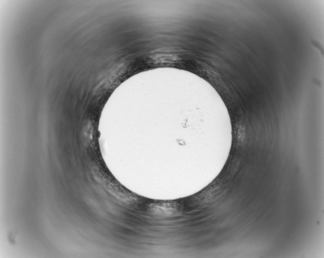 X0000100230567200806271753