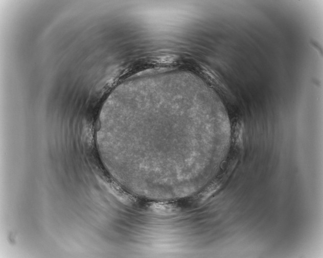 X0000100230568200806271753