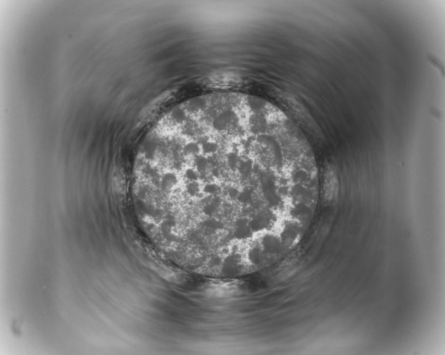 X0000100230569200806271753