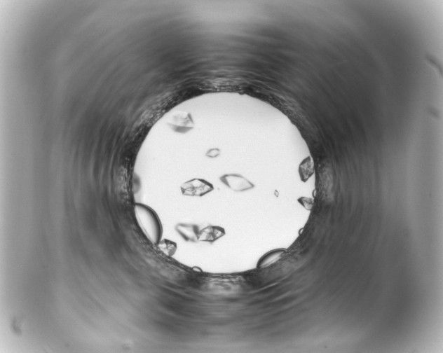 X0000100230571200806271753