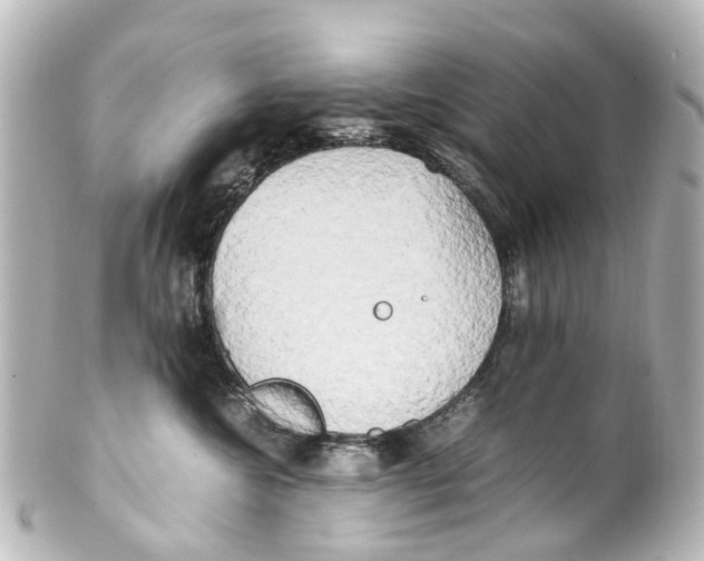 X0000100230572200806271753