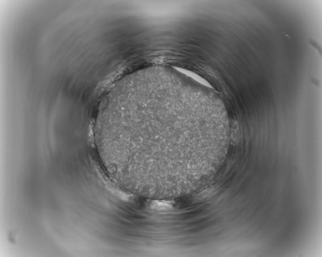 X0000100230573200806271753