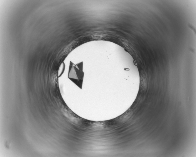 X0000100230574200806271753