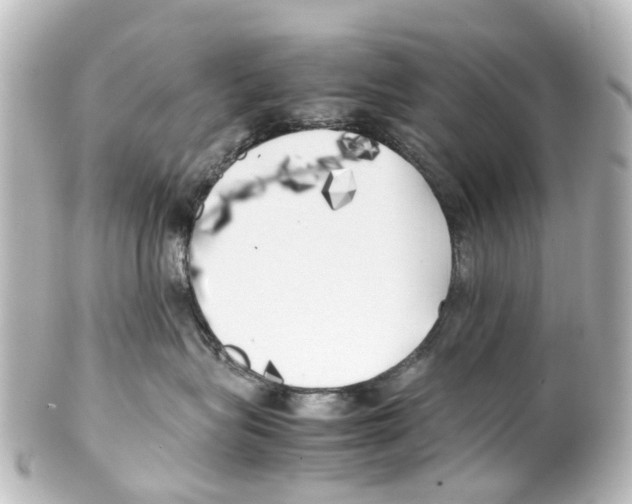X0000100230575200806271753