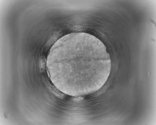 X0000100230576200806271753