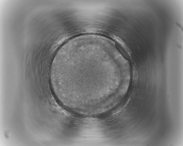 X0000100230577200806271752