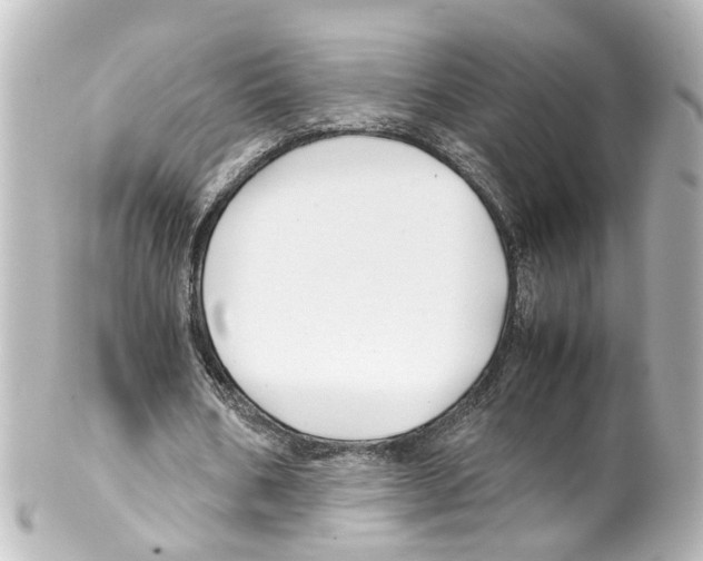 X0000100230578200806271752
