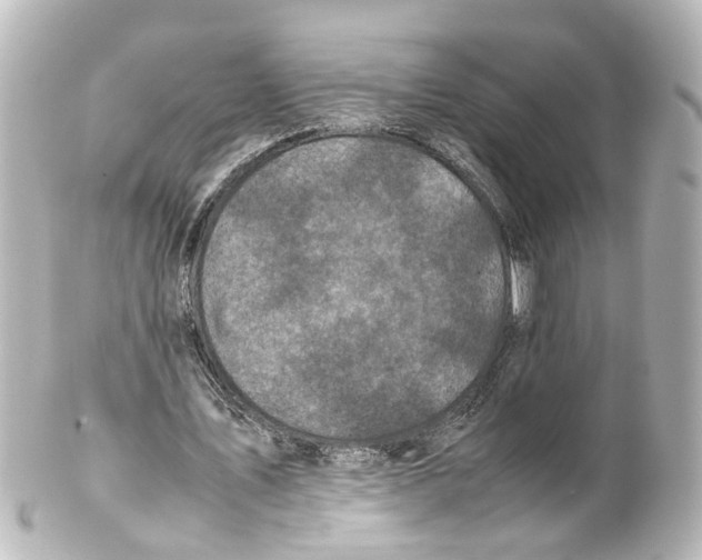 X0000100230579200806271752