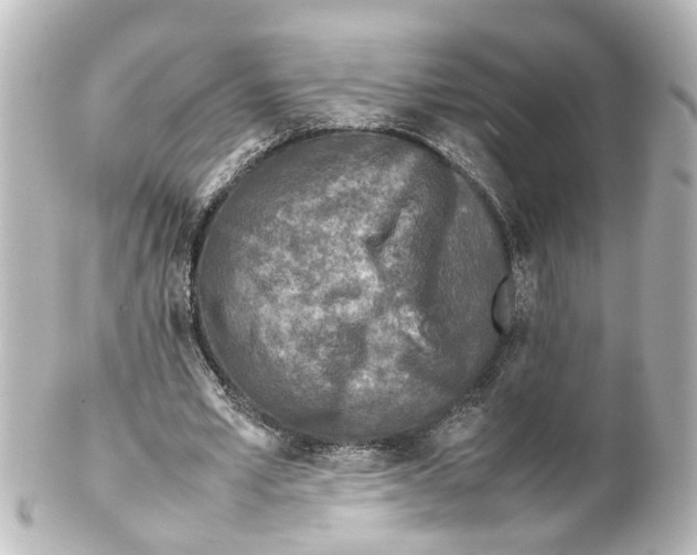 X0000100230581200806271752