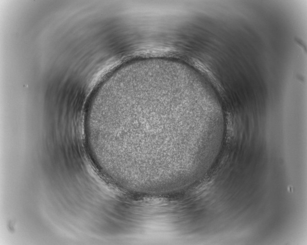 X0000100230582200806271752