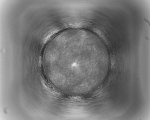 X0000100230583200806271752
