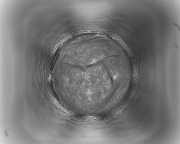 X0000100230585200806271752