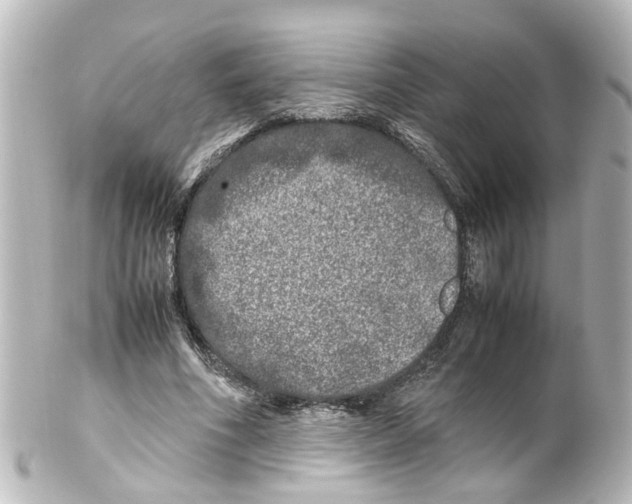 X0000100230586200806271752