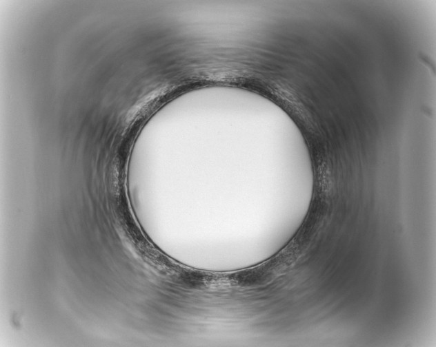X0000100230587200806271752