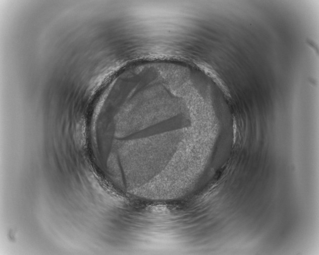 X0000100230588200806271752