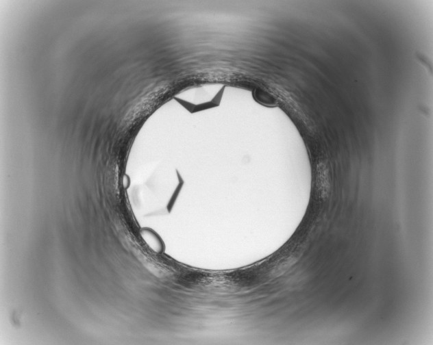 X0000100230589200806271752