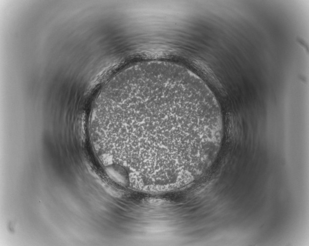 X0000100230590200806271752