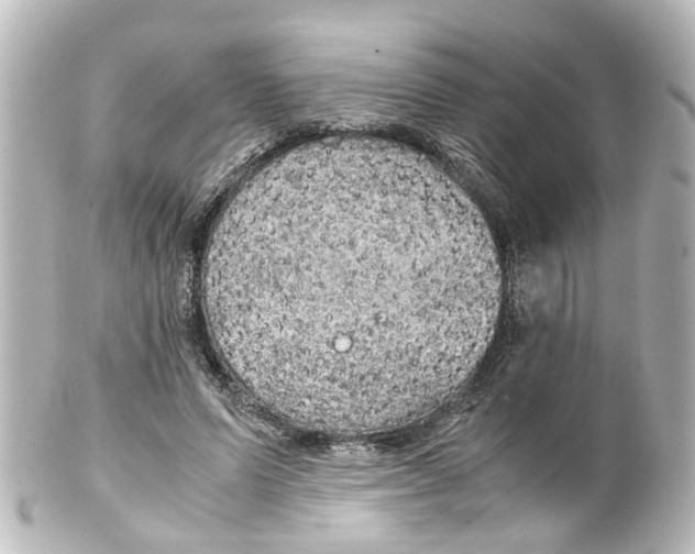 X0000100230591200806271752