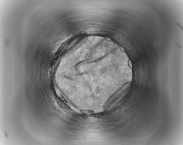 X0000100230592200806271752
