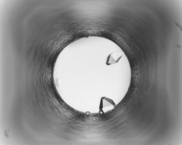 X0000100230593200806271752