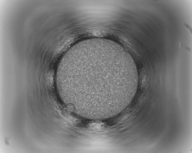 X0000100230595200806271752